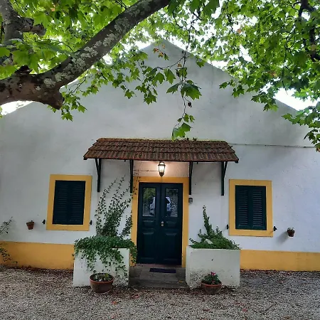 Montejunto - Casa Do Platano