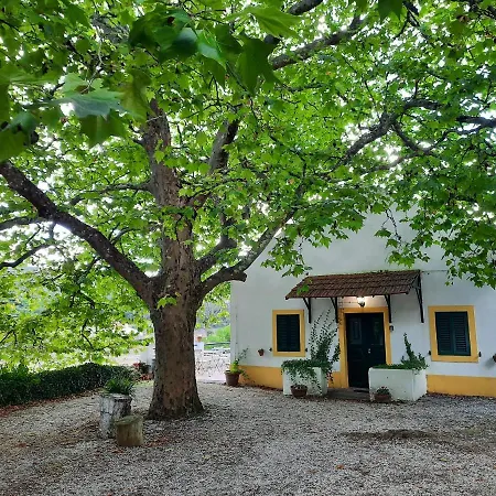 Montejunto - Casa Do Platano