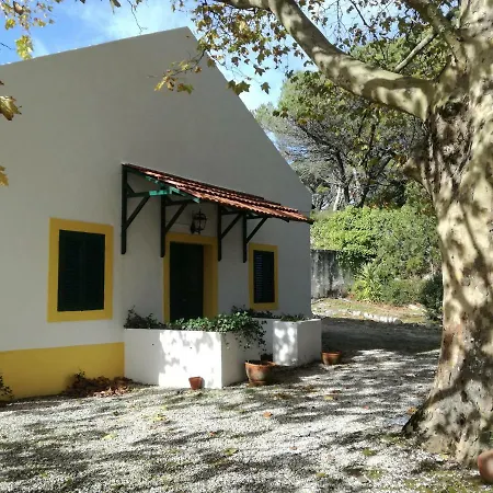 Montejunto - Casa Do Plátano Cadaval