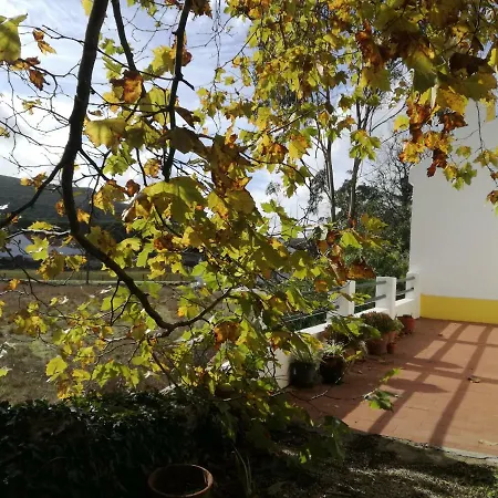 Montejunto - Casa Do Plátano *