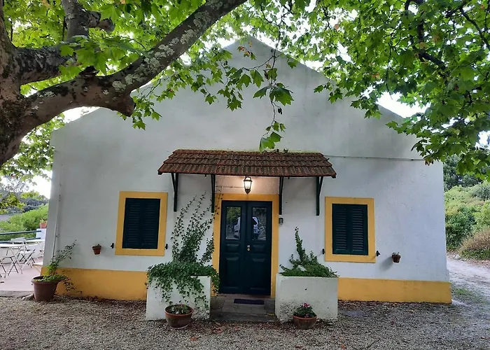 Montejunto - Casa Do Platano