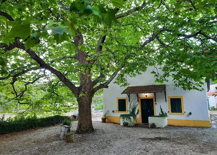 Montejunto - Casa Do Platano