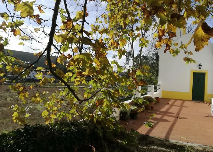 Montejunto - Casa Do Platano *