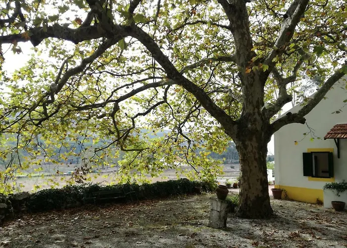 Montejunto - Casa Do Platano Дом отдыха *